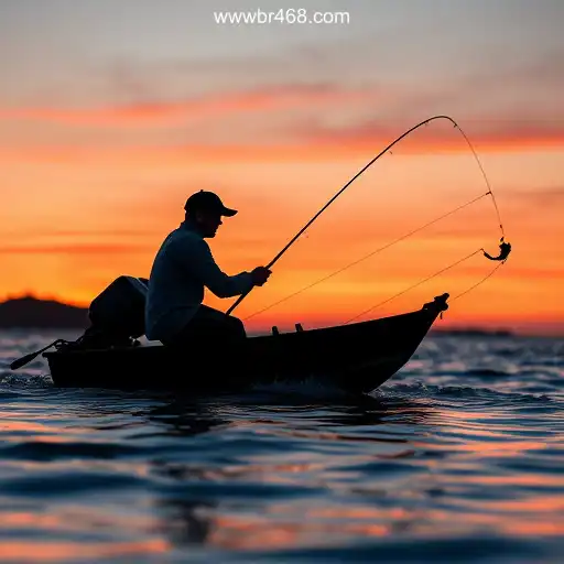Online Fishing